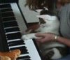 what concentration