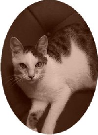 my beautiful portrait, click for larger version
