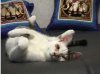 just relaxing