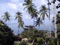 snorkel beach